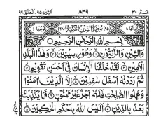 Surah At-Tin cover