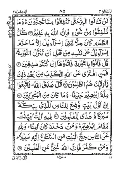 Quran Para 4 (Lan Tanalu) cover