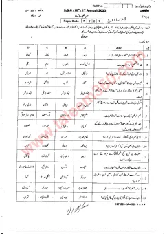 Punjabi 10th Class Past Paper 2023 — Sahiwal Board cover