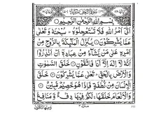 Surah An-Nahl cover