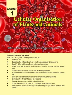 General Science 6 (English Medium) (2018-19) cover