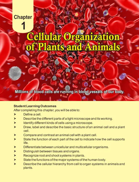 General Science 6 (English Medium) (2018-19) cover