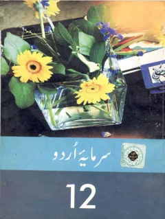 Urdu 12 — Sarmaya-e-Urdu (2010-11) cover