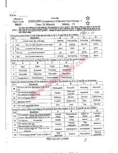 English 9th Class Past Paper 2024 — Faisalabad Board cover
