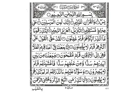 Surah Yaseen cover