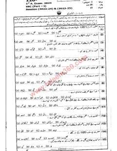 Punjabi 9th Class Past Paper 2024 — Bahawalpur Board cover