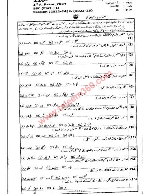Punjabi 9th Class Past Paper 2024 — Bahawalpur Board cover