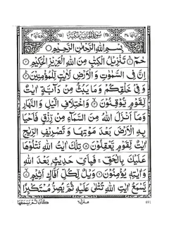 Surah Al-Jathiyah cover